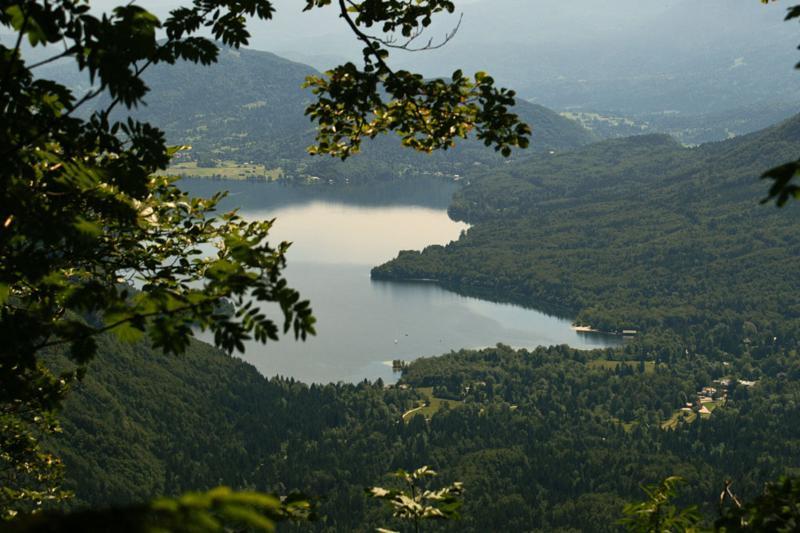 Private Apartments Bohinj Ribcev Laz Экстерьер фото